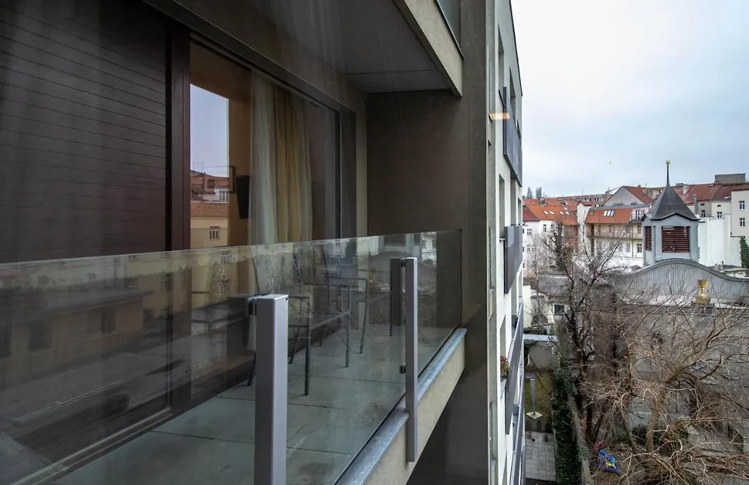 Modern Apartment With Balcony And Garage-1