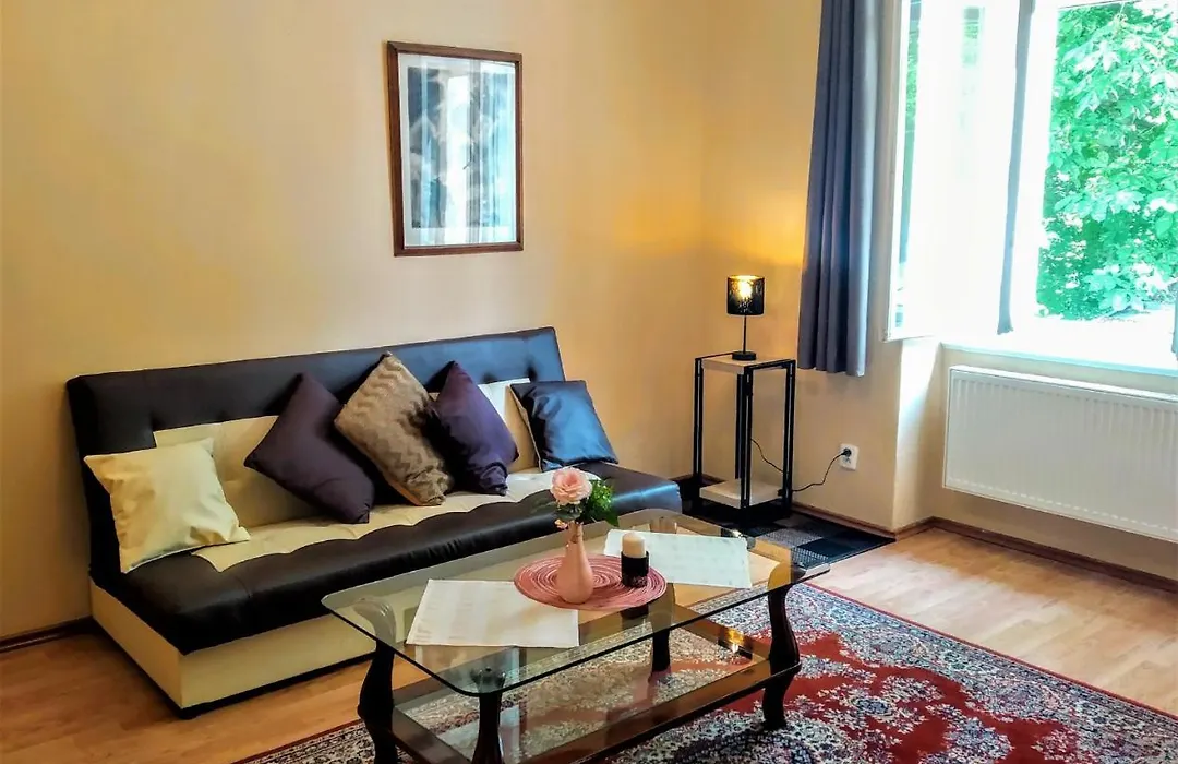 Apartment Sense Of Zizkov-1