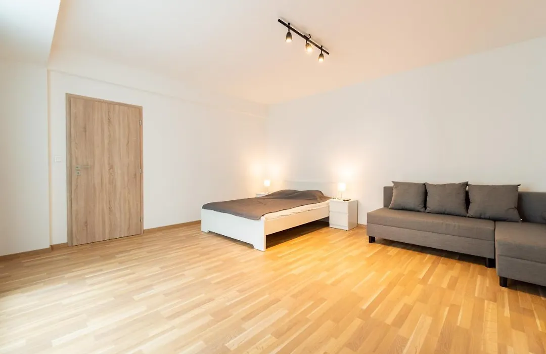 Brand New Two Room Apartment #26 With Free Secure Parking Close To Center-1