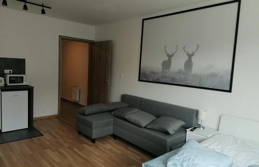 Brand New Studio Apartment #62 With Free Secure Parking In The Center-1
