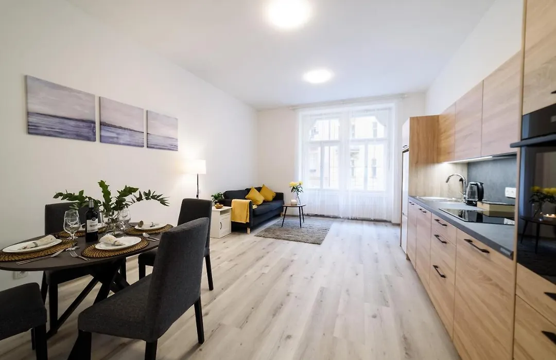 New Apartments Near Dancing House-1