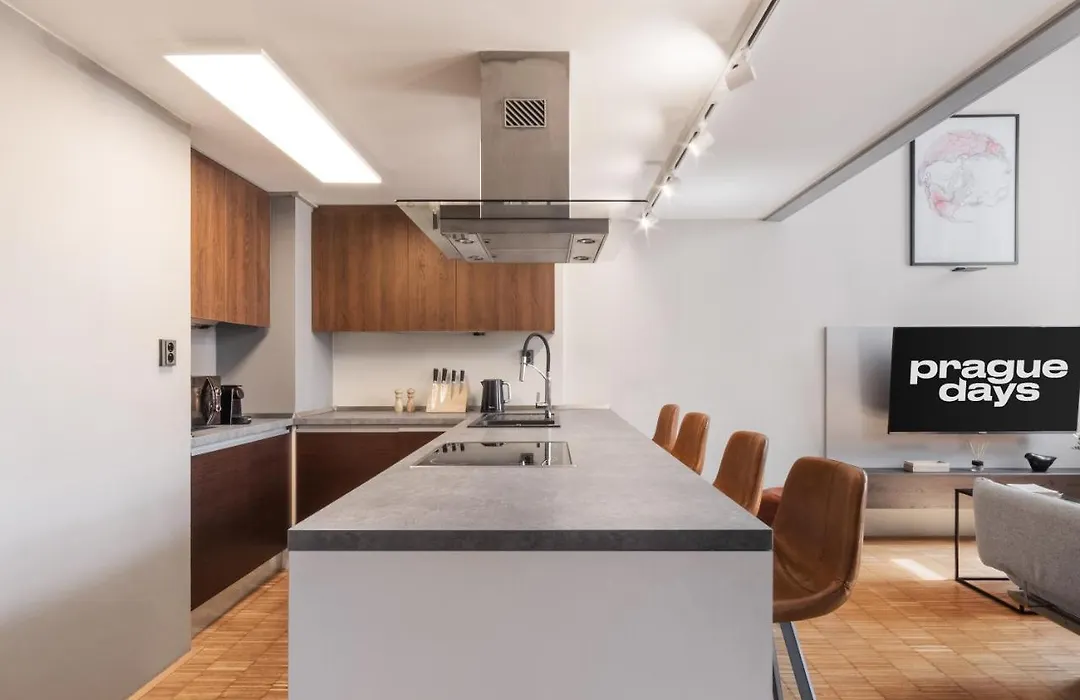 Prague Days - Loft With Garage And Workspace Right Next To Wenceslas Square-1