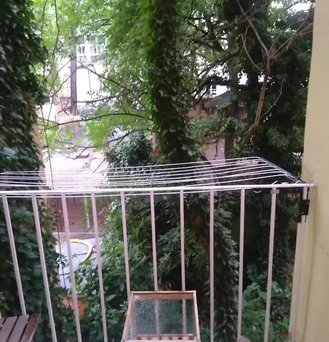 Comfy Apartments In Good Area-1