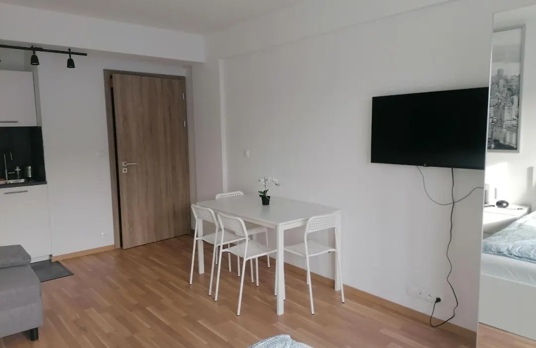 Brand New Studio Apartment # 45 With Free Parking In The City Center-1