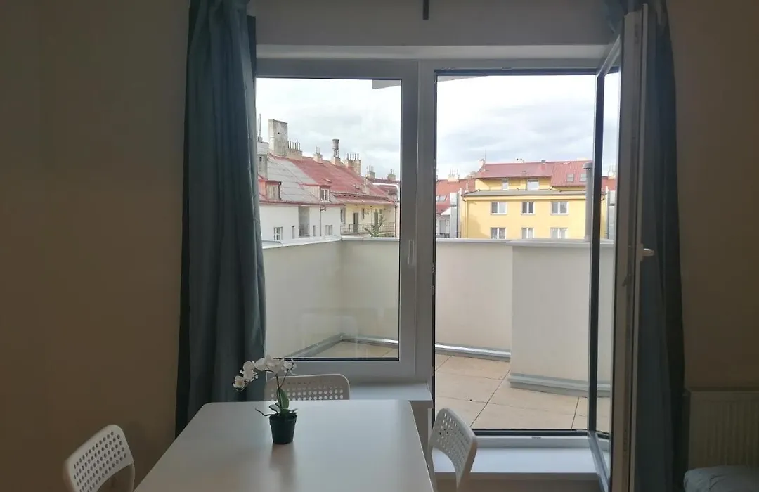Brand New Studio Apartment # 45 With Free Parking In The City Center-1