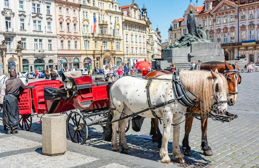 Cozy Homestay At Prague Main Station-1