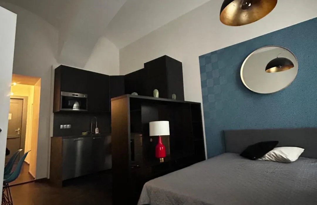Apartments In The Heart Of Prague-1
