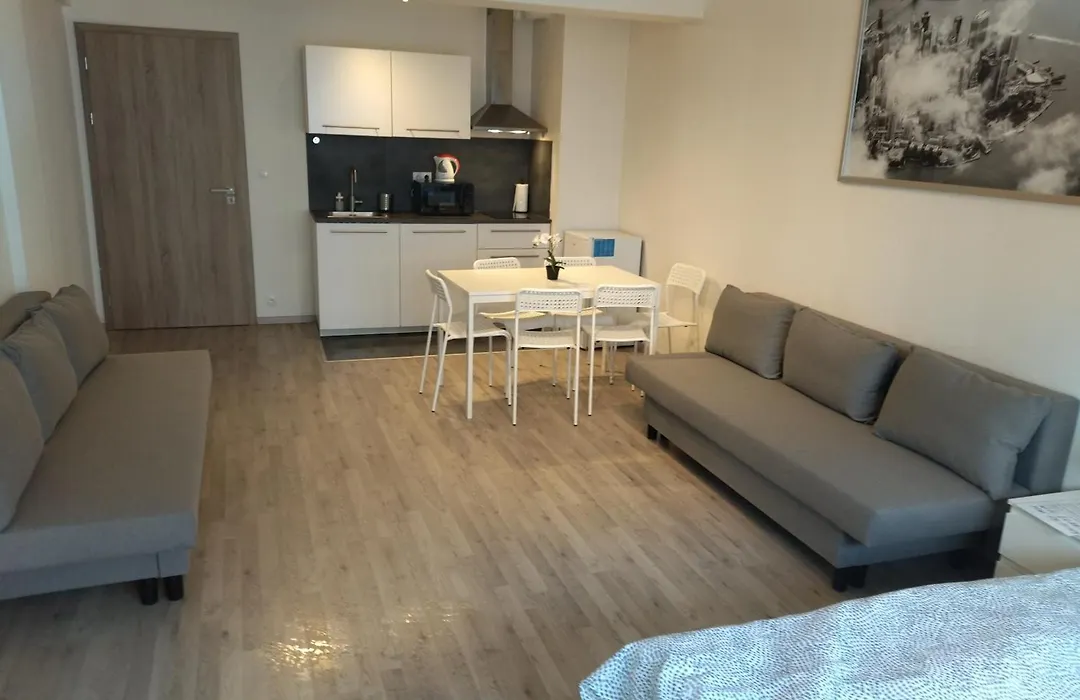 Brand New Studio Apartment #24 In Elite Residence With Free Secure Parking In The Center-1