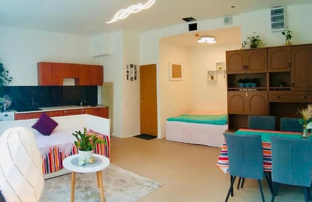 Free Parking - Green Studio Apartment - Private - Ground Floor - Near Center-1