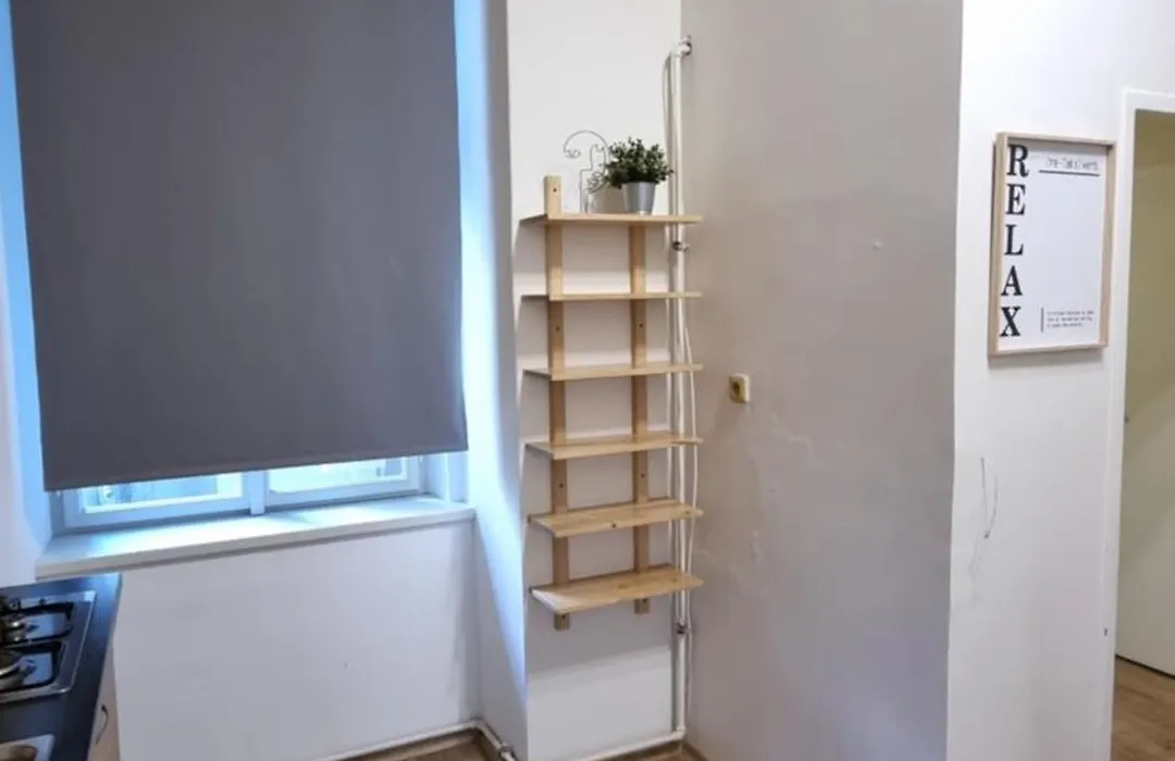 Apartment Krakovska 20-1