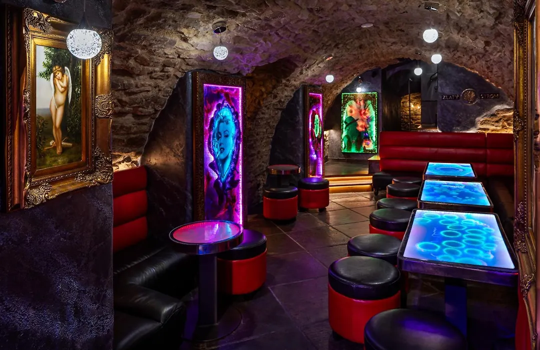 Hotel U Zlateho Stromu Prague By Bhg-1