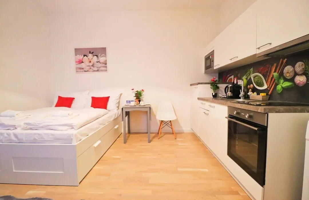 Spacious Apartment In The Center Of Prague-1