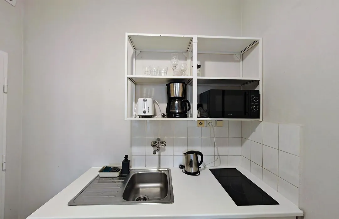 Flat In Zizkov -101--1