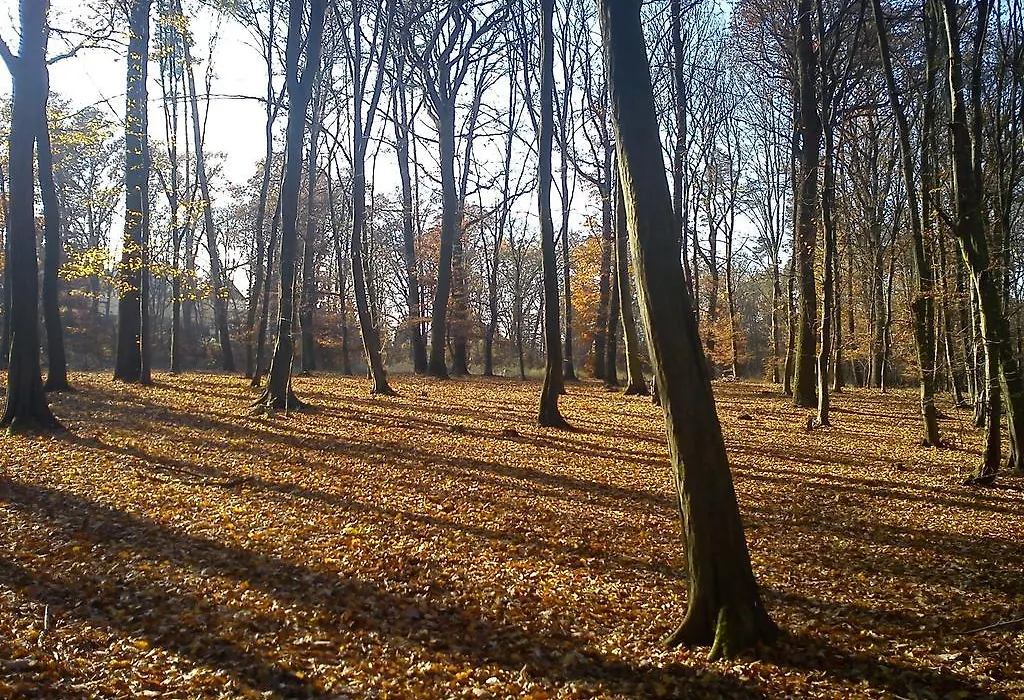 Apartmany Chodov-1