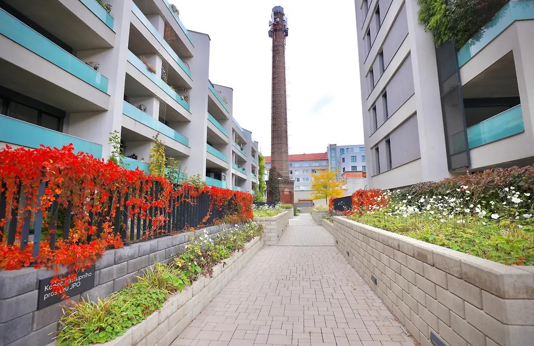 Modern Apartment • Garden • Near The City Center-1