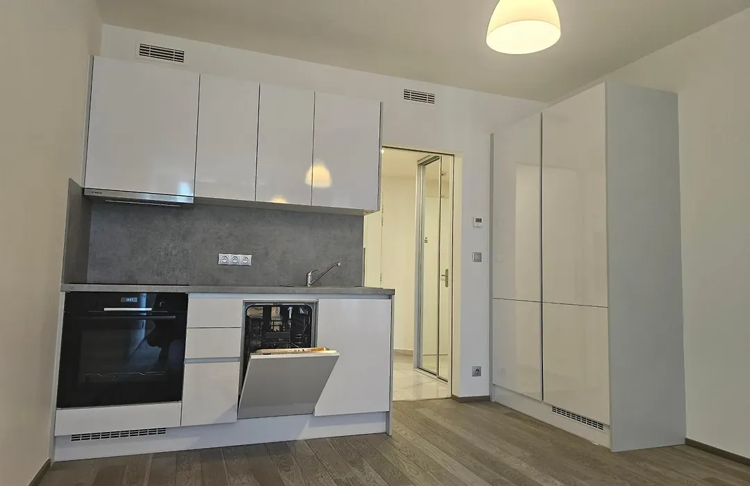 Prague Centre Luxury Apartment & Parking - With Large Glass Balcony-1
