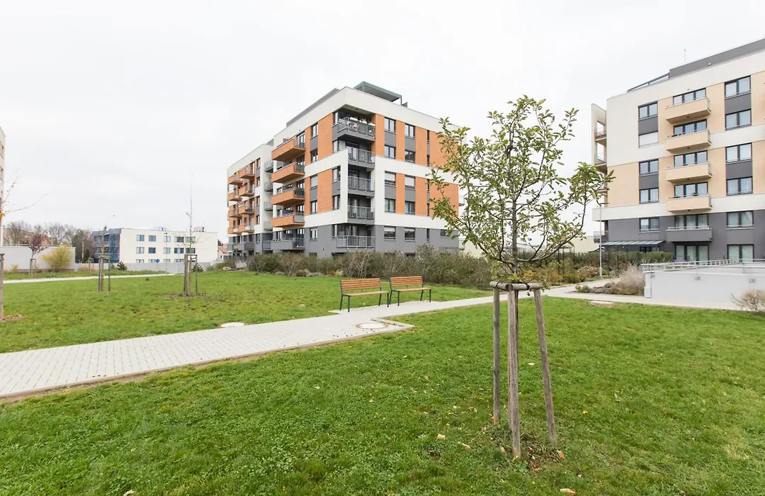 Brand New Apartment With Patio - Near Metro & Shopping Mall-1