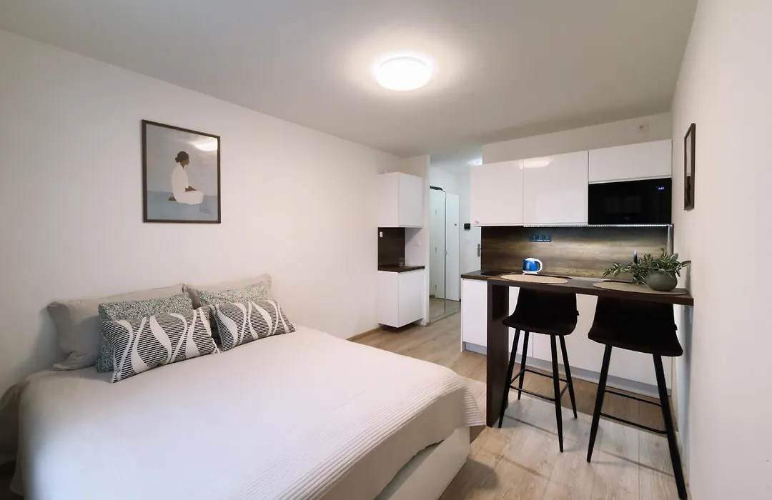 Studio Apartments Kubanske-1