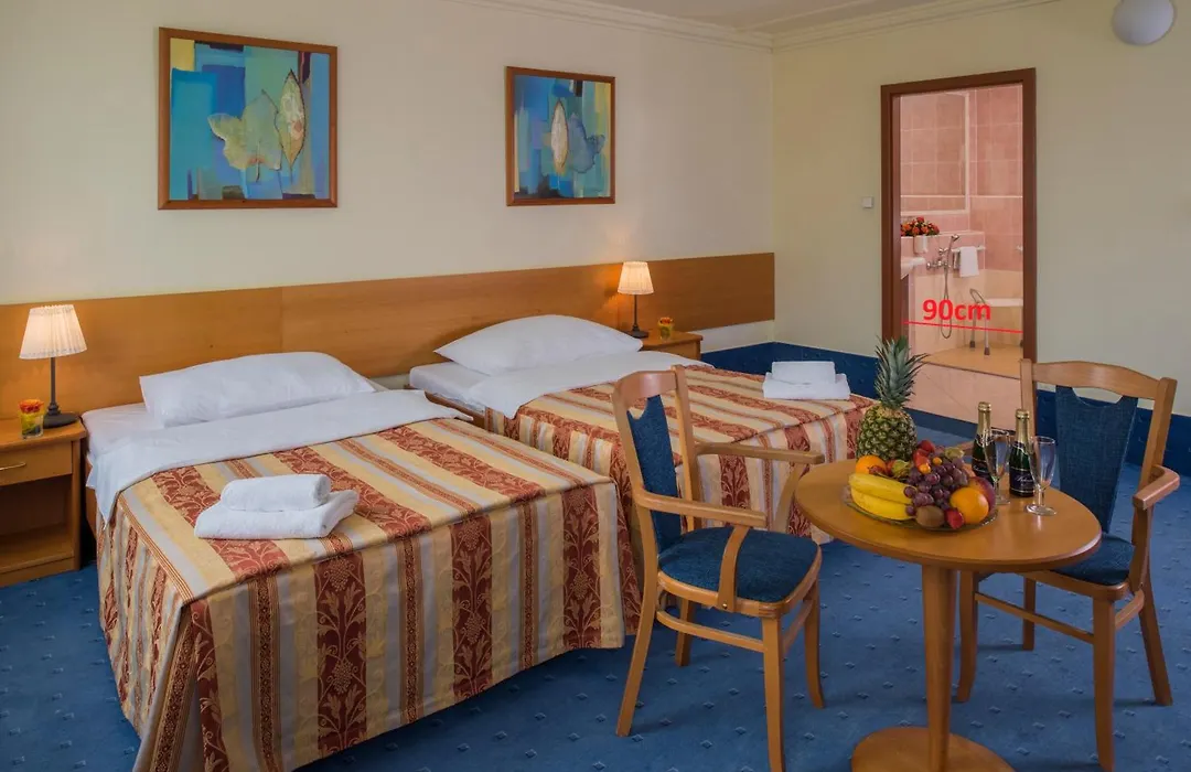Top Hotel Praha-1