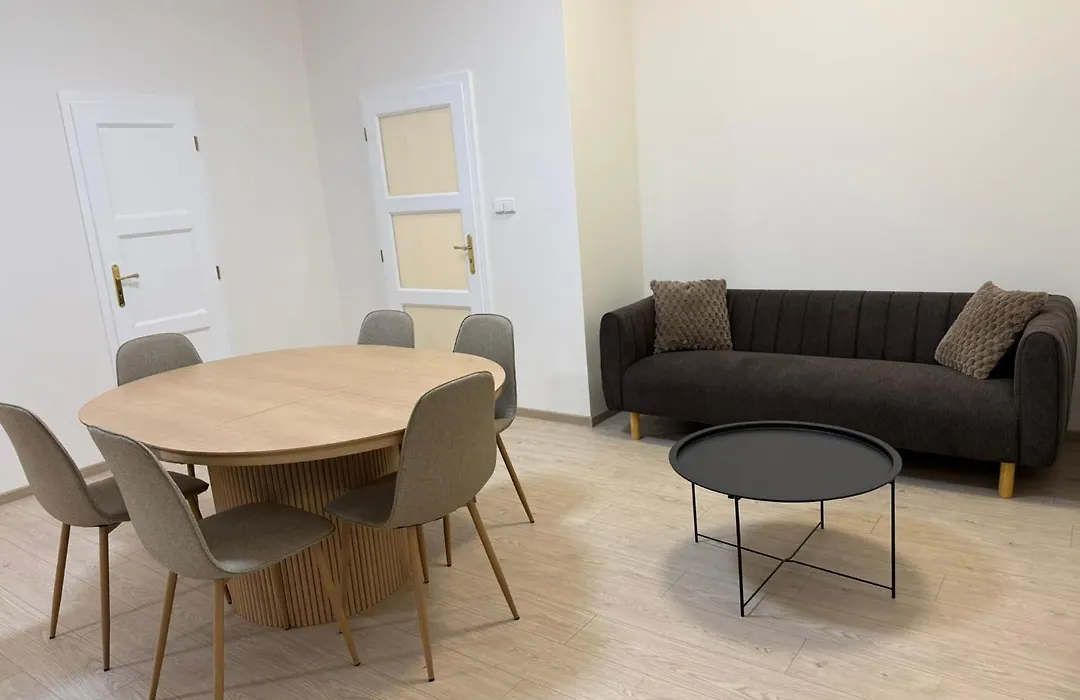 Spacious Apartment On Wenceslas Square-1