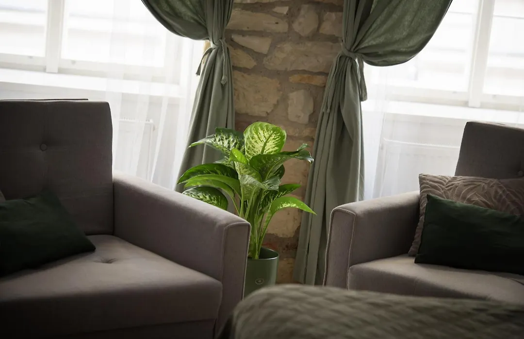 White Swan Boutique Apartments-1