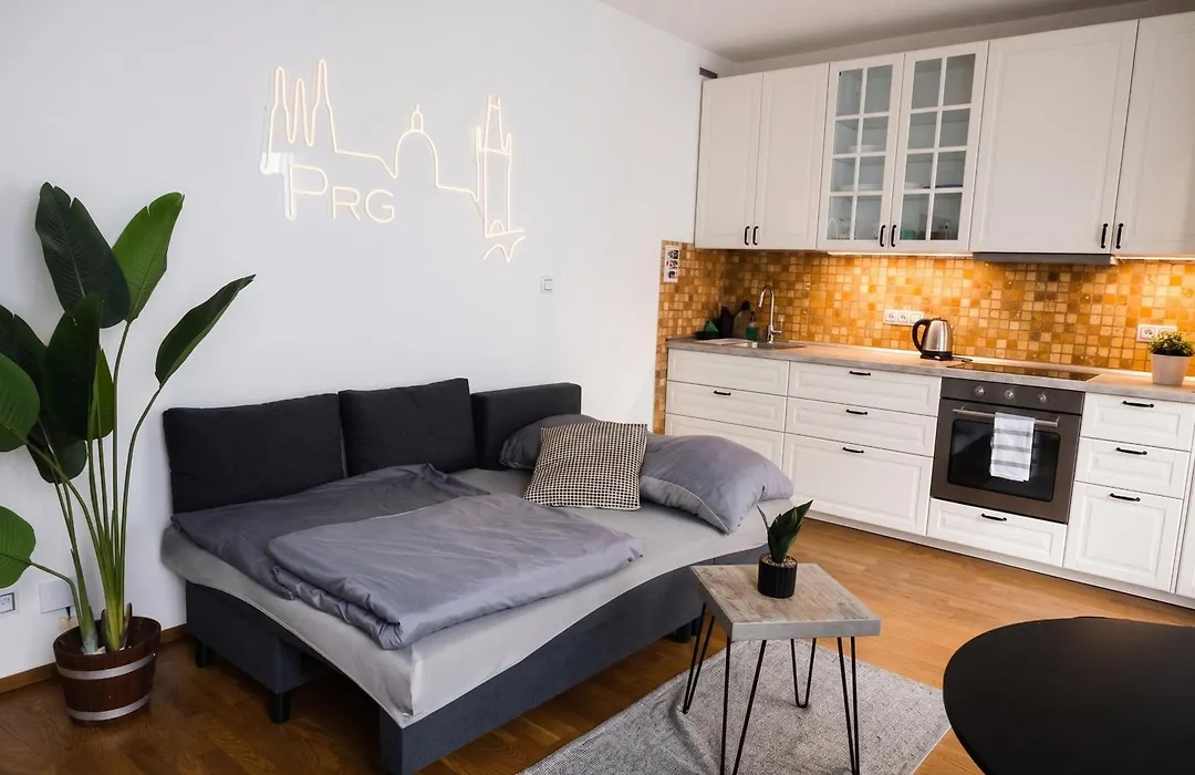 Apartment With Private Jacuzzi & Terrace In The Center Of Prague-1