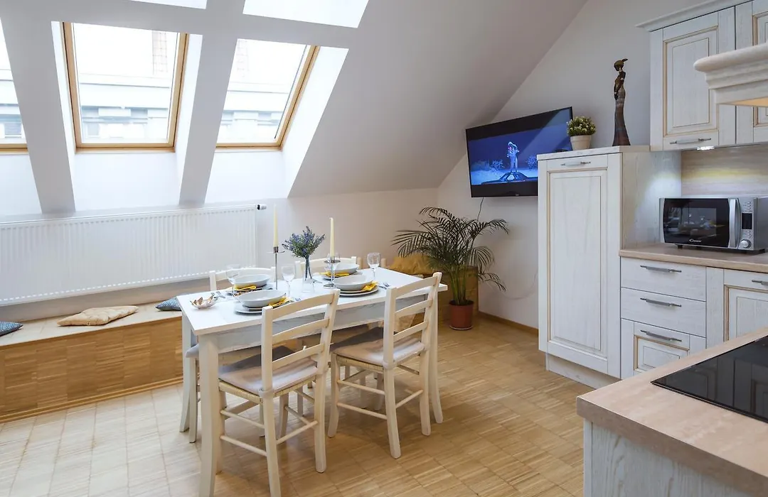 Modern Apartment Charvatova-1