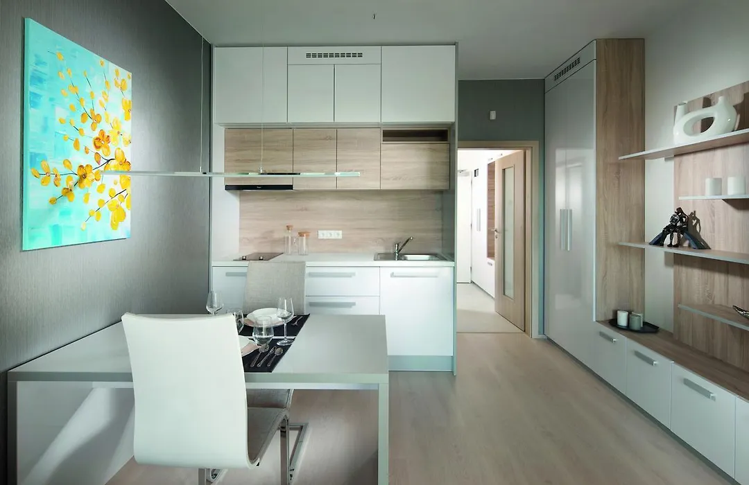 Apartement Blanc De Luxe-1