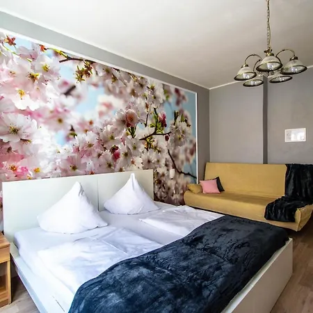Ruterra Apartment Cimburkova-2