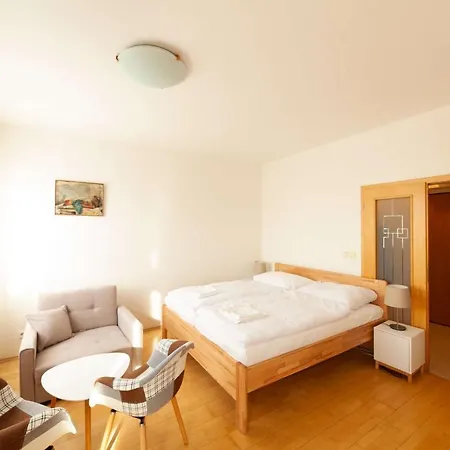 Vitkov Park Apartment-2