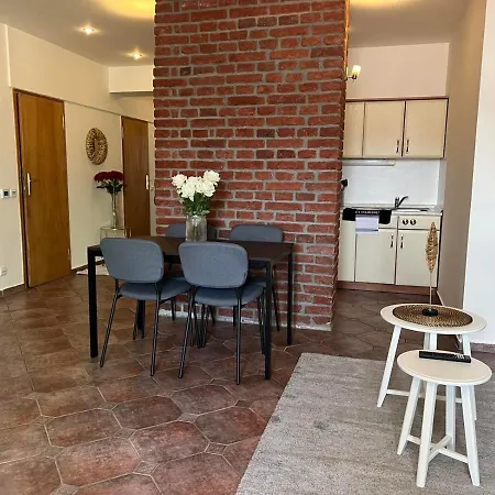 Old Town Square Apartments-2