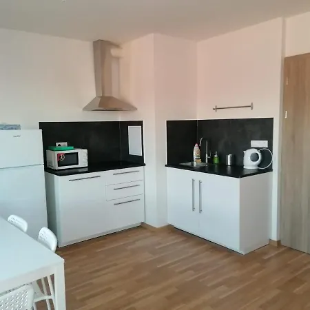 One Bedroom Penthouse Apartment # 82 In The Brand New Building Close To The City Center With Free Parking-3