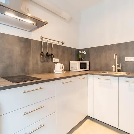 Brand New Two Room Apartment #26 With Free Secure Parking Close To Center-3