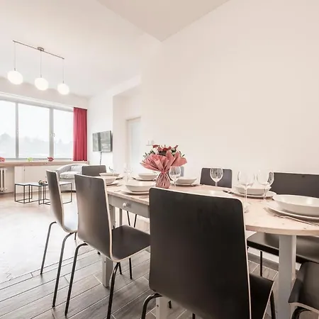 Revolucni Merkur River View Apartment-2