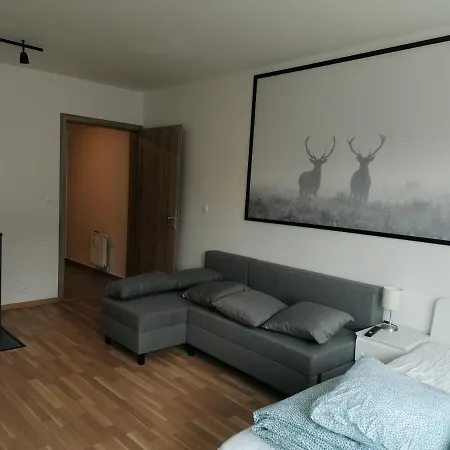 Brand New Studio Apartment #62 With Free Secure Parking In The Center-3
