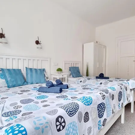 Finnem Rentals Zikova-3