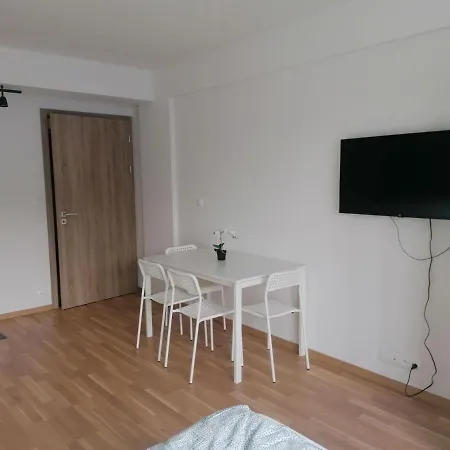 Brand New Studio Apartment # 45 With Free Parking In The City Center-2