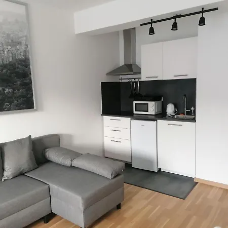 Brand New Studio Apartment # 45 With Free Parking In The City Center-2