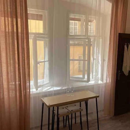 Studio In Gothic House, 50M To The Old Town Square-3