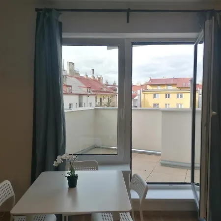 Brand New Studio Apartment # 45 With Free Parking In The City Center-3