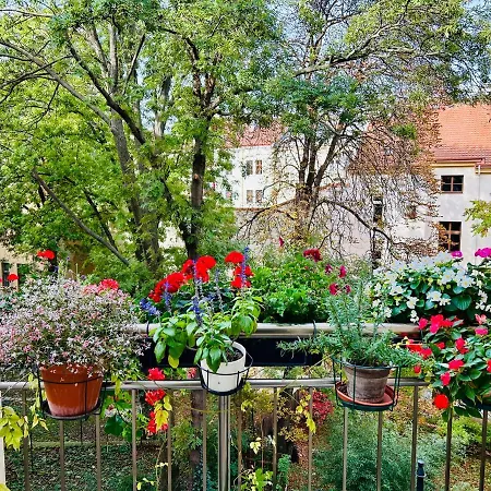 Green Balcony & King Size Bed-3