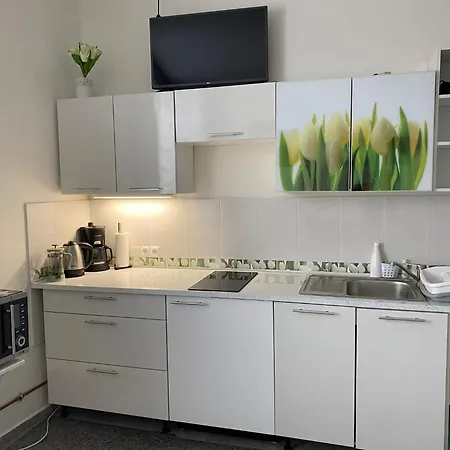 Tulip Apartment-2
