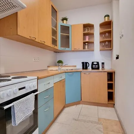 Finnem Rentals Zíkova-2