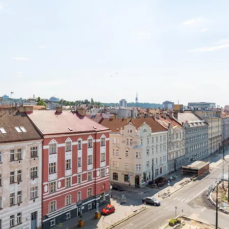 Brand New Studio Apartment # 45 With Free Parking In The City Center-3