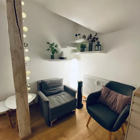 Cozy Apt Near Prague Castle-2