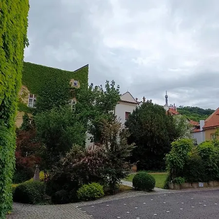 Lovely Room And Free Parking-2