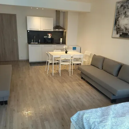 Brand New Studio Apartment #24 In Elite Residence With Free Secure Parking In The Center-2