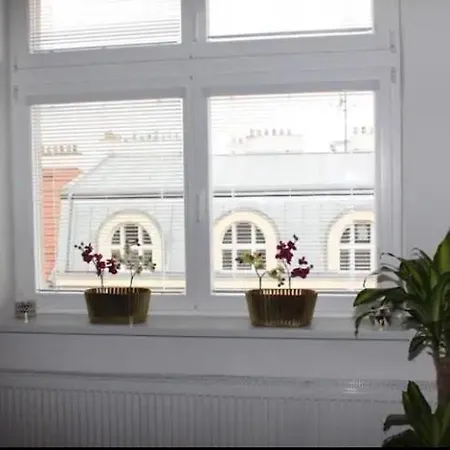 Lenka'S Cozy Red Studio + Lenka'S Cozy Gold Apartment-3