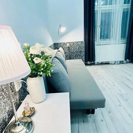 Modern Spacious Apartment In Center Prague-3