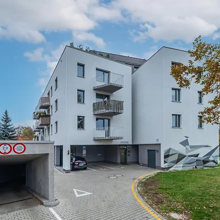 Amazonka Suite-2